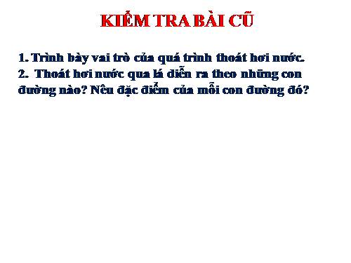 Bài 4. Vai trò của các nguyên tố khoáng