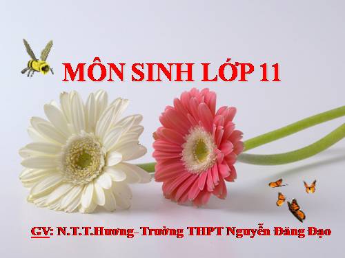 Bài 10. Ảnh hưởng của các nhân tố ngoại cảnh đến quang hợp