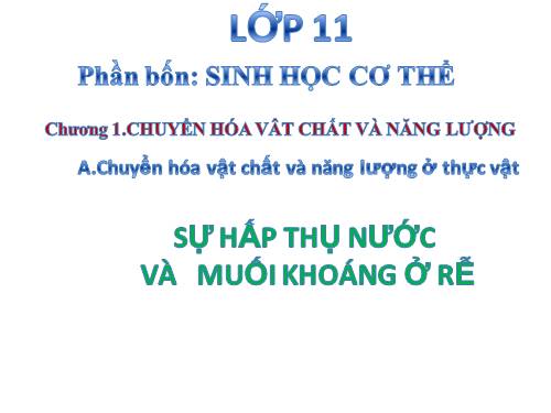 Bài 1. Sự hấp thụ nước và muối khoáng ở rễ