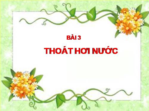 Bài 3. Thoát hơi nước