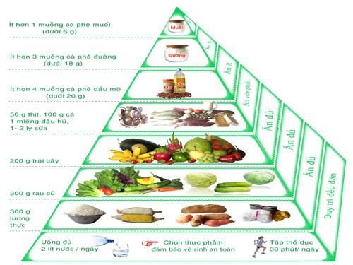 Bài 11. Quang hợp và năng suất cây trồng