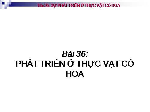 Bài 36. Phát triển ở thực vật có hoa