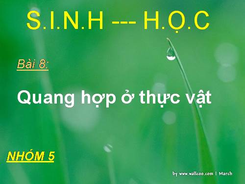 Bài 8. Quang hợp ở thực vật