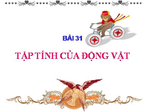 Bài 31. Tập tính của động vật