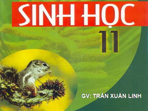 Bài 41. Sinh sản vô tính ở thực vật