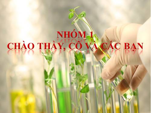 Bài 41. Sinh sản vô tính ở thực vật