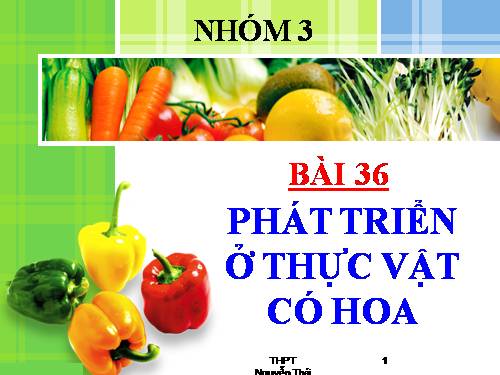 Bài 36. Phát triển ở thực vật có hoa