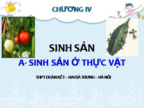 Bài 41. Sinh sản vô tính ở thực vật