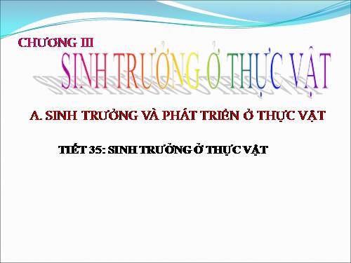 Bài 34. Sinh trưởng ở thực vật