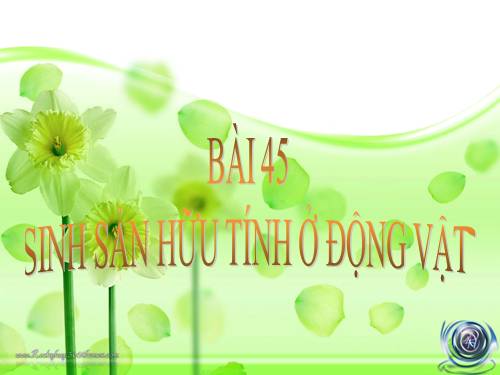 Bài 45. Sinh sản hữu tính ở động vật