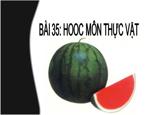 Bài 35. Hoocmôn thực vật