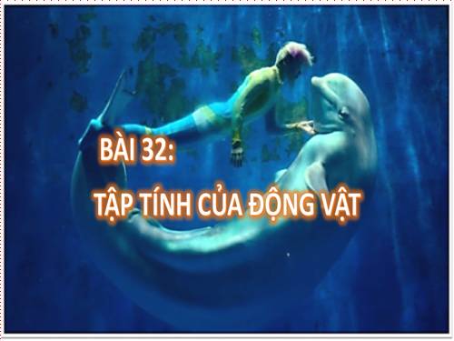 Bài 32. Tập tính của động vật (tiếp theo)