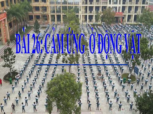 Bài 26. Cảm ứng ở động vật