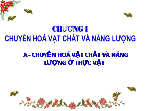 Bài 1. Sự hấp thụ nước và muối khoáng ở rễ