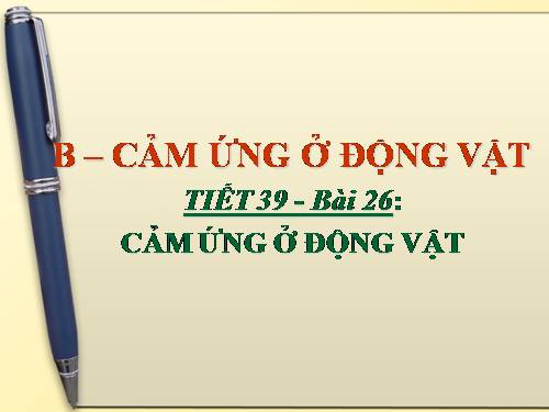 Bài 26. Cảm ứng ở động vật