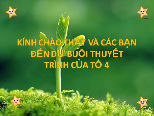 Bài 8. Quang hợp ở thực vật