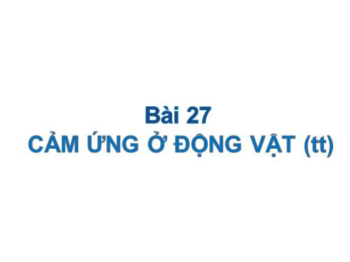 Bài 27. Cảm ứng ở động vật (tiếp theo)