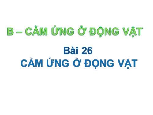 Bài 26. Cảm ứng ở động vật