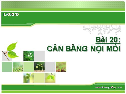 Bài 20. Cân bằng nội môi