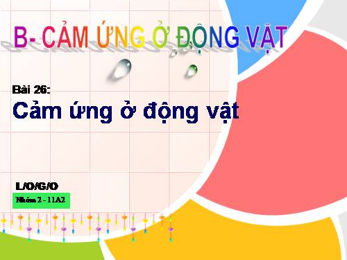 Bài 26. Cảm ứng ở động vật