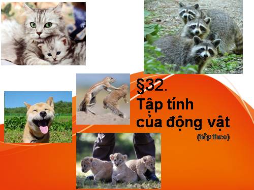 Bài 32. Tập tính của động vật (tiếp theo)