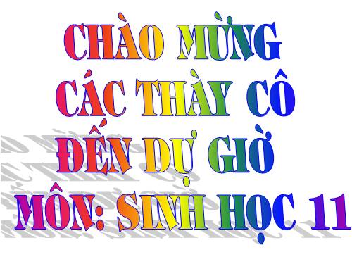 Bài 26. Cảm ứng ở động vật