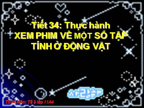 Bài 33. Thực hành: Xem phim về tập tính của động vật