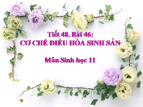 Bài 46. Cơ chế điều hòa sinh sản