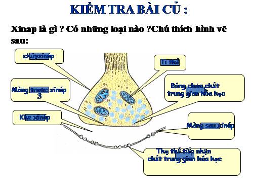 Bài 31. Tập tính của động vật