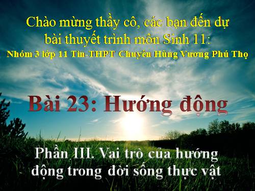 Bài 23. Hướng động