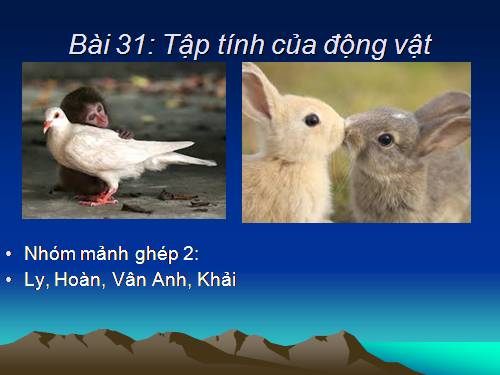 Bài 31. Tập tính của động vật