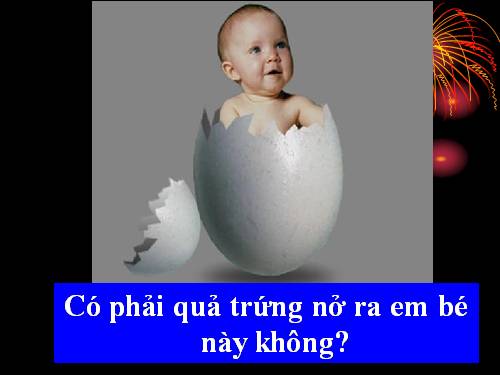 Bài 37. Sinh trưởng và phát triển ở động vật