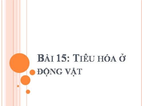 Bài 15. Tiêu hoá ở động vật