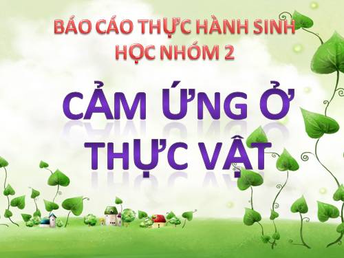 Bài 26. Cảm ứng ở động vật