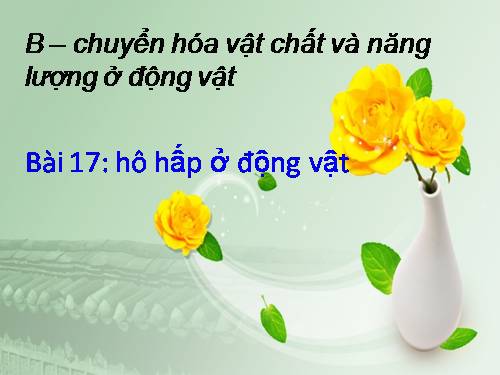 Bài 17. Hô hấp ở động vật