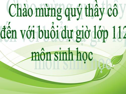 Bài 26. Cảm ứng ở động vật