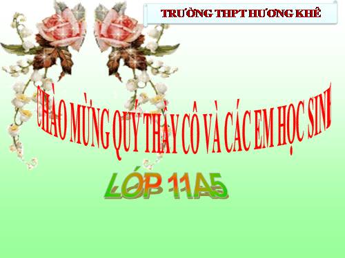 Bài 23. Hướng động