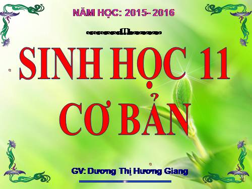 Bài 18. Tuần hoàn máu