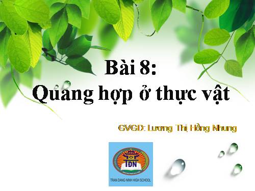 Bài 8. Quang hợp ở thực vật