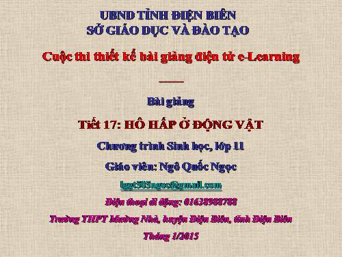 Bài 17. Hô hấp ở động vật