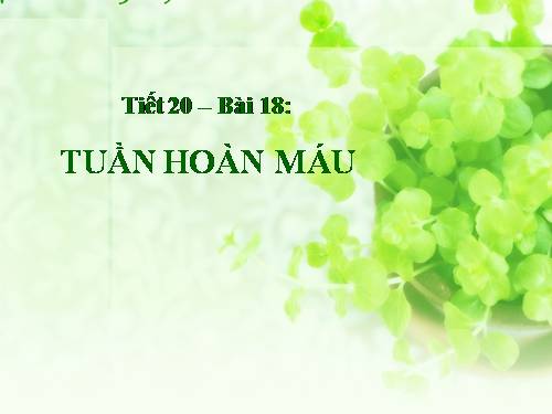 Bài 18. Tuần hoàn máu