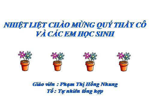 Bài 15. Tiêu hoá ở động vật