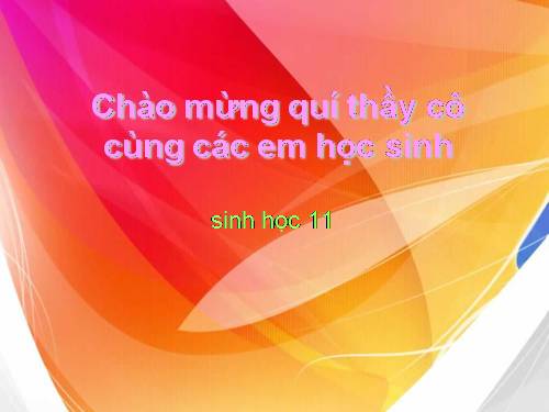 Bài 17. Hô hấp ở động vật