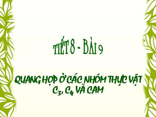 Bài 8. Quang hợp ở thực vật