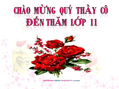 Bài 11. Quang hợp và năng suất cây trồng