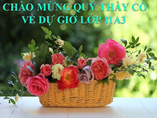 Bài 8. Quang hợp ở thực vật