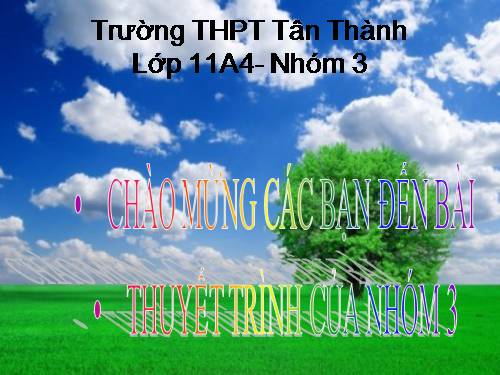 Bài 11. Quang hợp và năng suất cây trồng