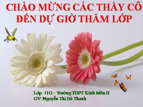 Bài 8. Quang hợp ở thực vật