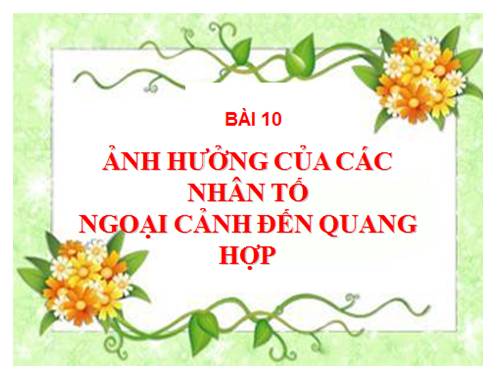 Bài 10. Ảnh hưởng của các nhân tố ngoại cảnh đến quang hợp