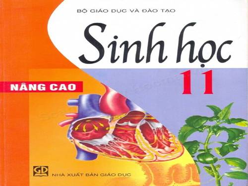 Bài 4. Vai trò của các nguyên tố khoáng